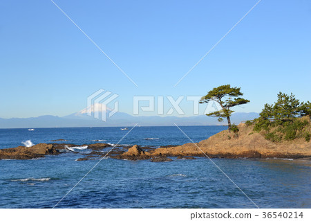 Tateishi Coast 36540214