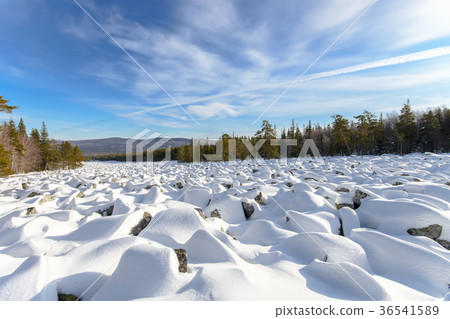 Sea of stones covered with snow, beautiful winter Sea of stones covered with snow, beautiful winter 36541589