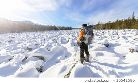 Hiker with backpack on the snow field of stones at Hiker with backpack on the snow field of stones at 36541590