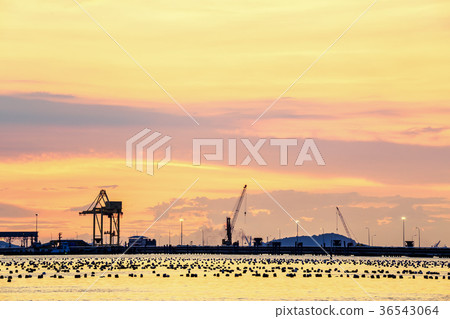 Container Cargo freight ship with working crane  36543064