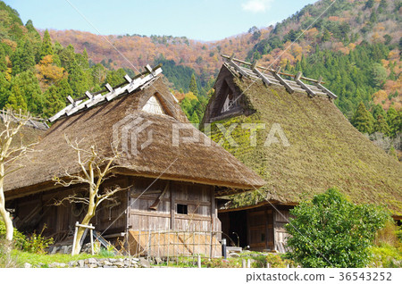 Miyama Seki no Sato Miyama Seki no Sato 36543252