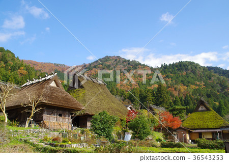Miyama Seki no Sato Miyama Seki no Sato 36543253