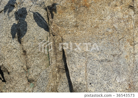 Rough rough skin 36543573