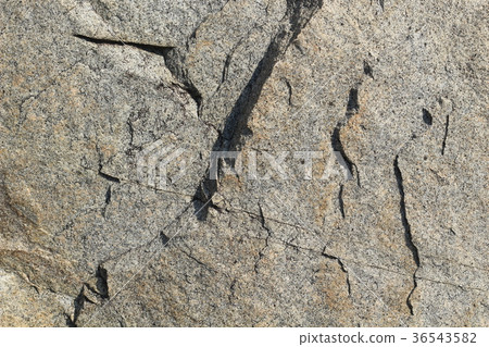 Rough rough skin 36543582