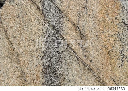 Rough rough skin Rough rough skin 36543583