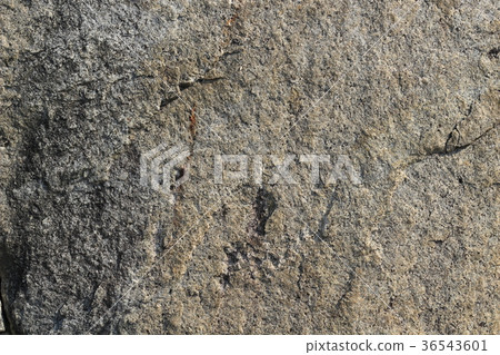 Rough rough skin 36543601