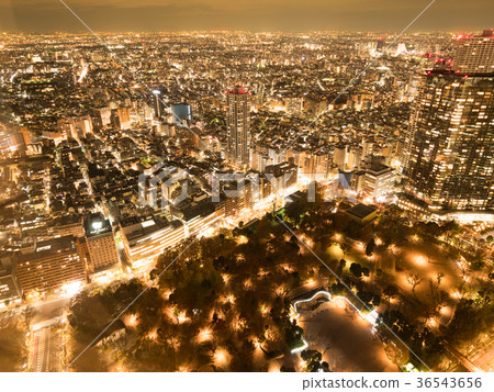 新宿夜景 36543656