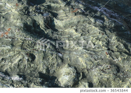 Rough rough skin Rough rough skin 36543844