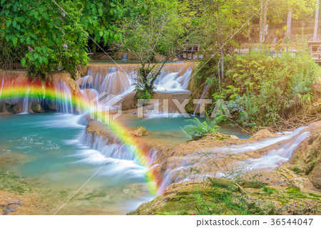 Tad Sae Waterfalls at Luang prabang, Laos. 36544047