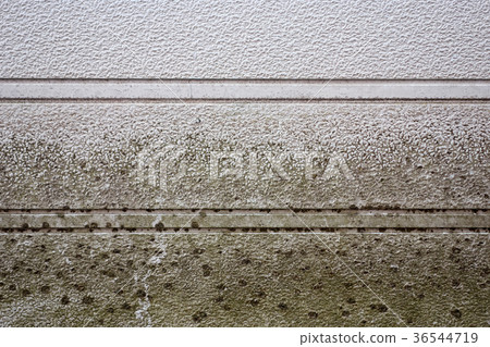 黴菌和苔蘚臟外牆 36544719