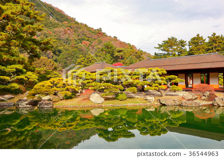 Kuribayashi Park Kuribayashi Park 36544963