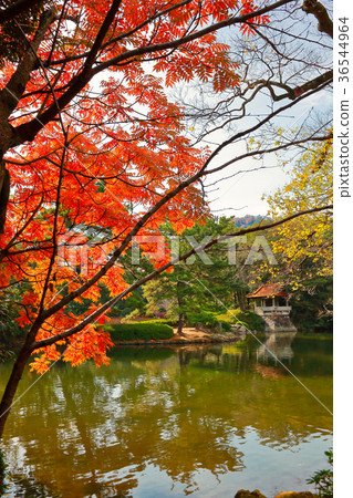 《Kagawa Prefecture》 Ritsurin Garden 36544964