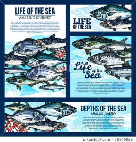 Sea life banner with fish and ocean animal sketch Sea life banner with fish and ocean animal sketch 36546029