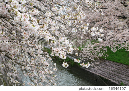 奈良縣高田森邦倉 36546107