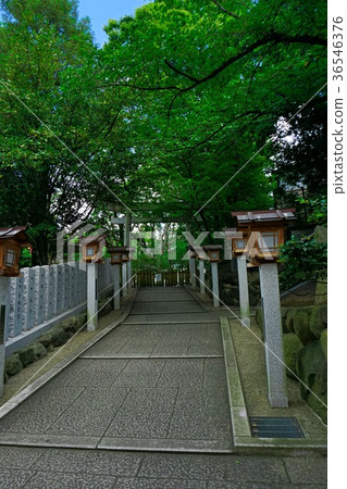 Ishiruti Shrine 36546376