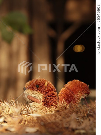 Mini Squirrel-126 36546608
