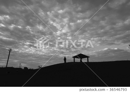 One person One person 36546793