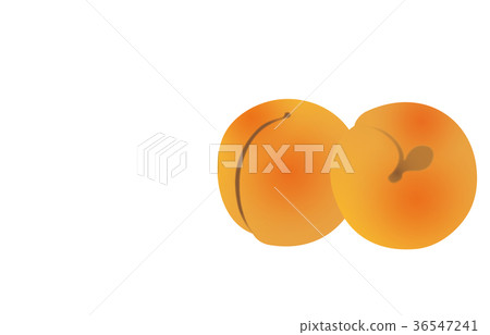 Various fruits of apricot Various fruits of apricot 36547241
