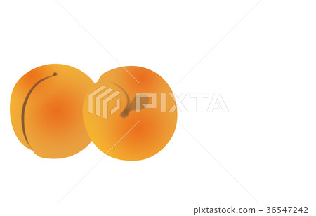 Various fruits of apricot Various fruits of apricot 36547242
