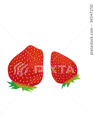 Fruits various strawberries 36547250