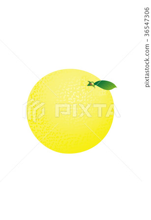 Fruit variety grapefruit Fruit variety grapefruit 36547306