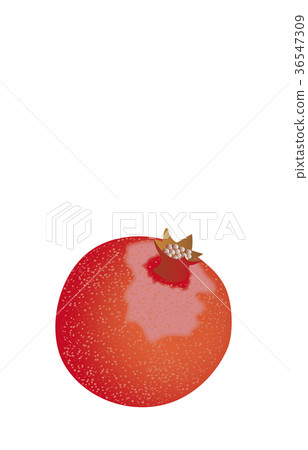 Various pomegranate fruits Various pomegranate fruits 36547309