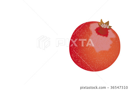 Various pomegranate fruits Various pomegranate fruits 36547310