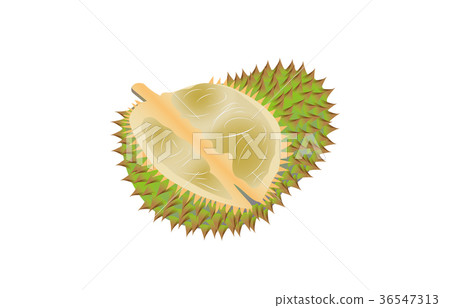 各種水果榴蓮 各種水果榴蓮 36547313