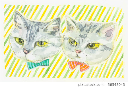 兩隻貓 兩隻貓 36548043