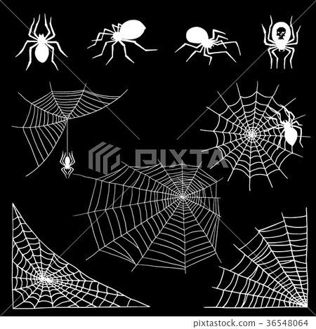 Spiders vector web silhouette spooky spider nature 36548064