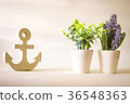 vintage wooden anchor with purple lavender 36548363