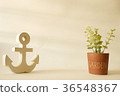 wooden anchor in minimalist style with small tree 36548367