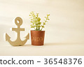 wooden anchor with tree for garden decorative 36548376