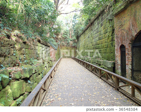 Sarushima, Yokosuka City, Kanagawa Prefecture 36548384