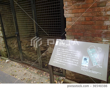 Sarushima, Yokosuka City, Kanagawa Prefecture 36548386