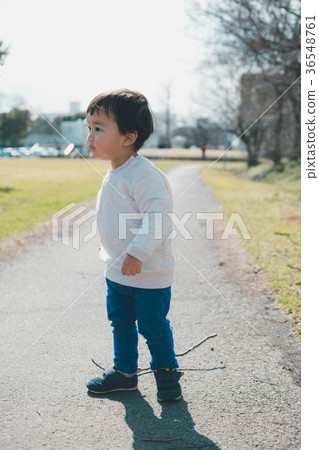 branch, sprig, little child 36548761