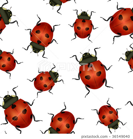 Realistic Detailed Insect Ladybug Seamless Pattern 36549040