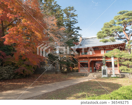 Shimizu Park Niotomon 36549275