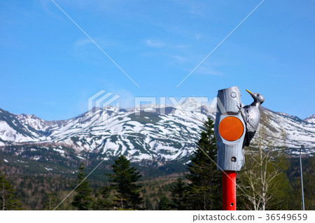 視線指導標誌與人造黃油的模型 36549659