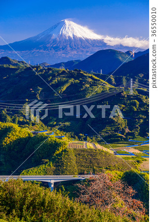 View from the mountain area of Shizuoka, Mt. Fuji View from the mountain area of Shizuoka, Mt. Fuji 36550010