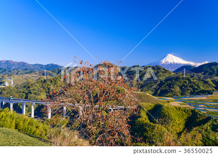 View from the mountain area of Shizuoka, Mt. Fuji View from the mountain area of Shizuoka, Mt. Fuji 36550025