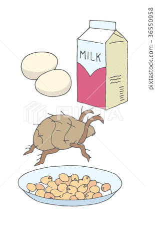 過敏的原因 過敏的原因 36550958