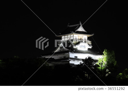Inuyama Castle 36551292