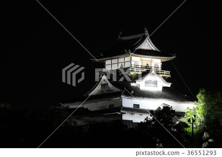 Inuyama Castle 36551293