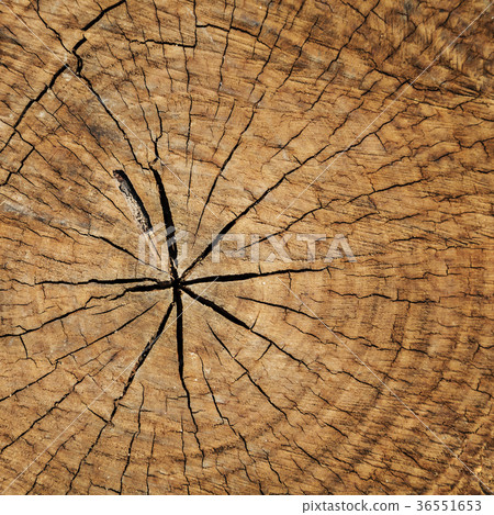 Wooden texture Wooden texture 36551653