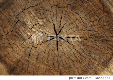 Wooden texture Wooden texture 36551655
