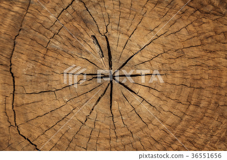 Wooden texture Wooden texture 36551656