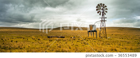 Texas Wheel in the Outback at Tumut Australia Texas Wheel in the Outback at Tumut Australia 36553489