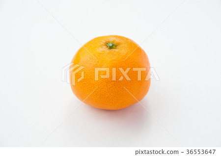 1 Wenzhou orange 1 Wenzhou orange 36553647