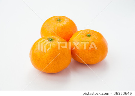 3 Wenzhou oranges 3 Wenzhou oranges 36553649